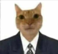 Matias Mendoza avatar
